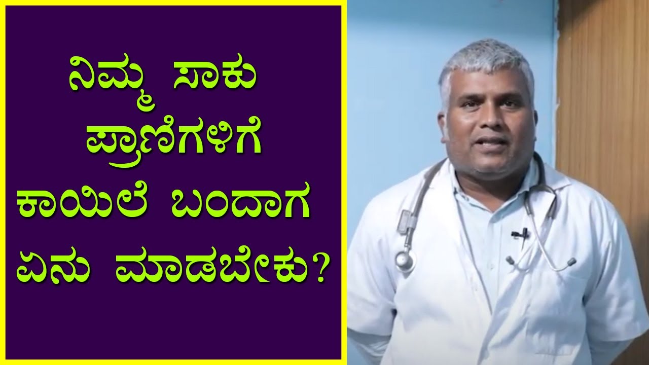 What to Do If Your Pet Gets Sick | Vijay Karnataka