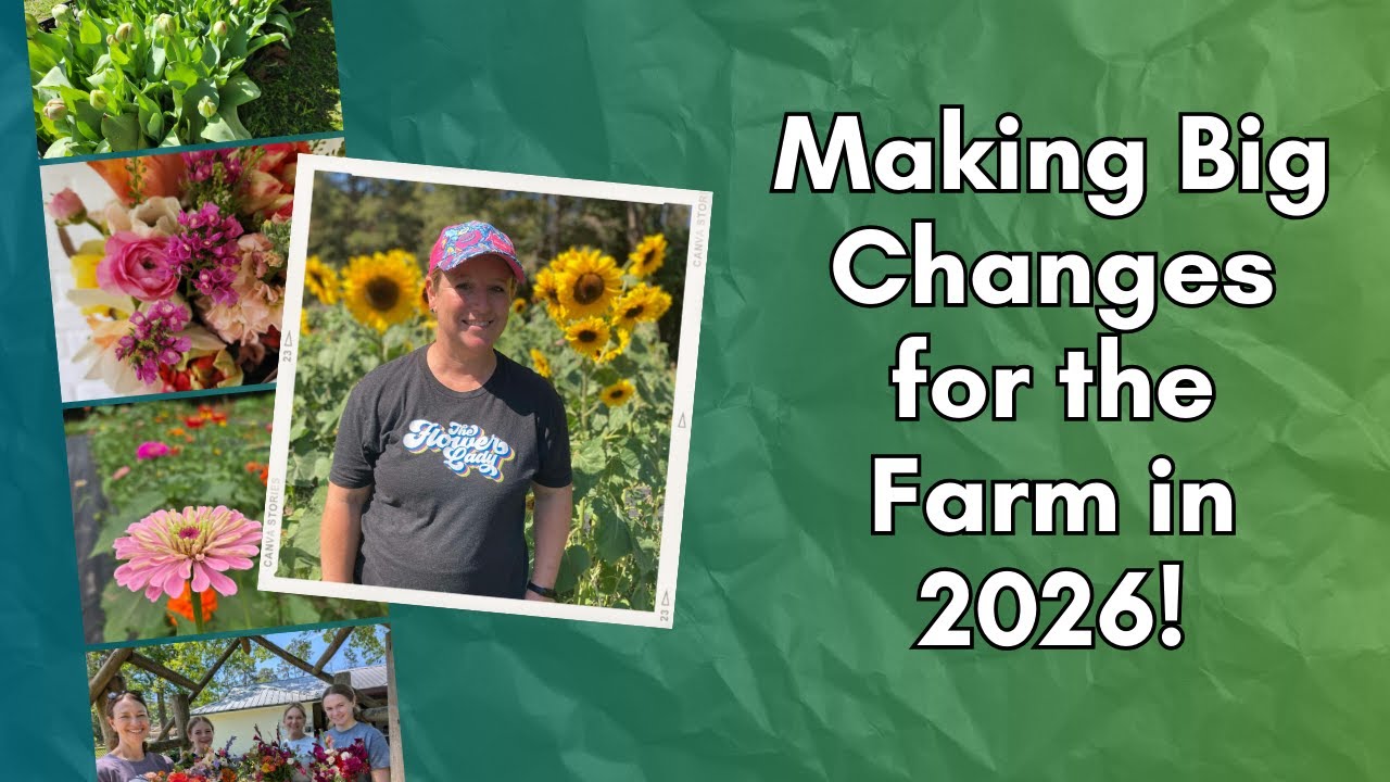 The big changes I am making on my Texas flower farm for 2026!