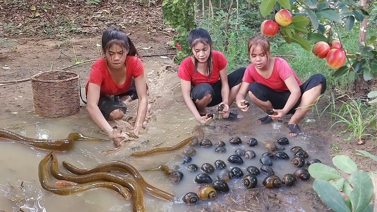 Survival skills: Catch Eel in rainforest for food, Eel soup chili tasty for food, Pick snail & Apple