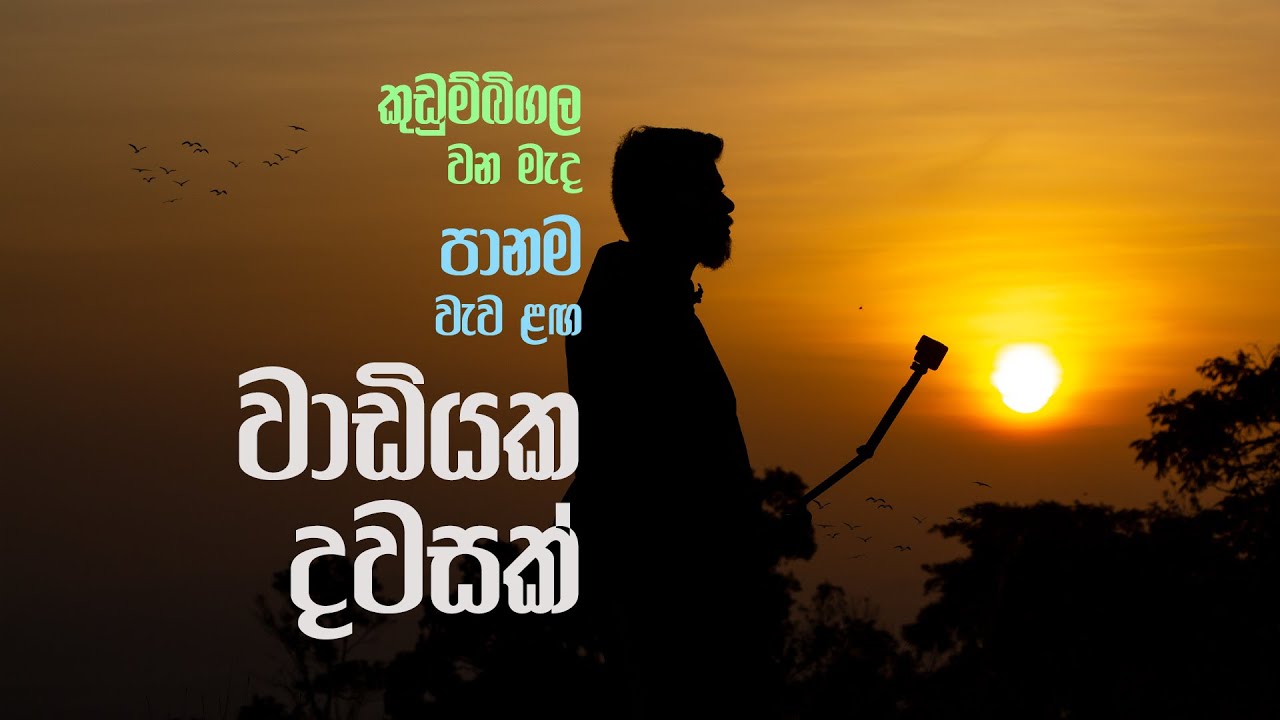 A night near lake | Kudumbigala, Panama, Sri Lanka | කුඩුම්බිගල වතගොත සොයා පානමට | @sanchaarakaya