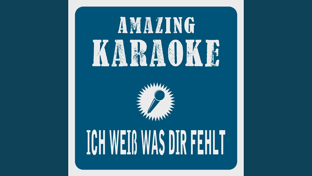 Ich wei&szlig; was Dir fehlt (Karaoke Version) (Originally Performed By Peter Alexander)