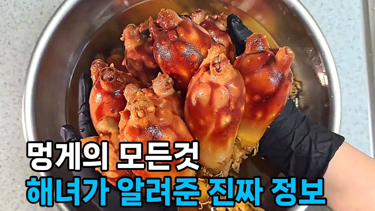 봄 제철 해산물 멍게, 멍게손질, 멍게제철, 효능, 멍게젓갈