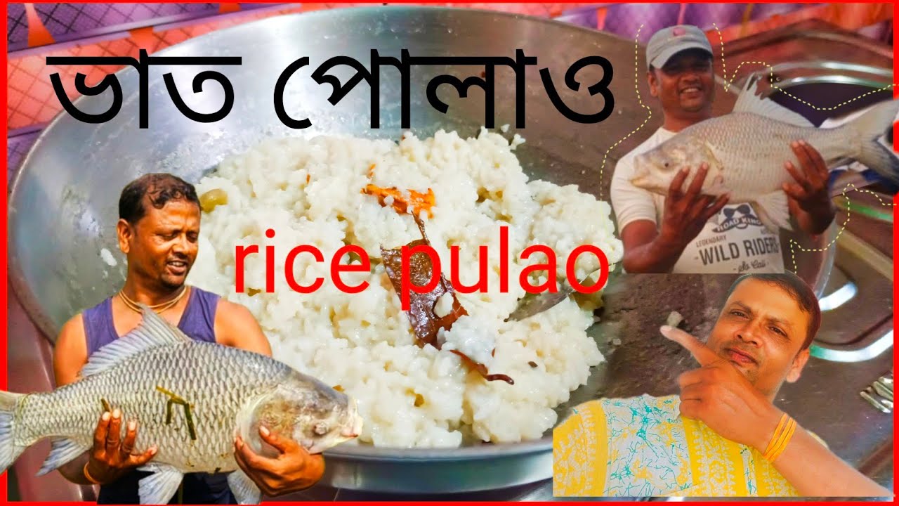 কাতলা স্পেশাল ভাত পোলাও🔥 Katla special rice pulao 100% result🎣 #pulao #fishing #viralvideo #katla 