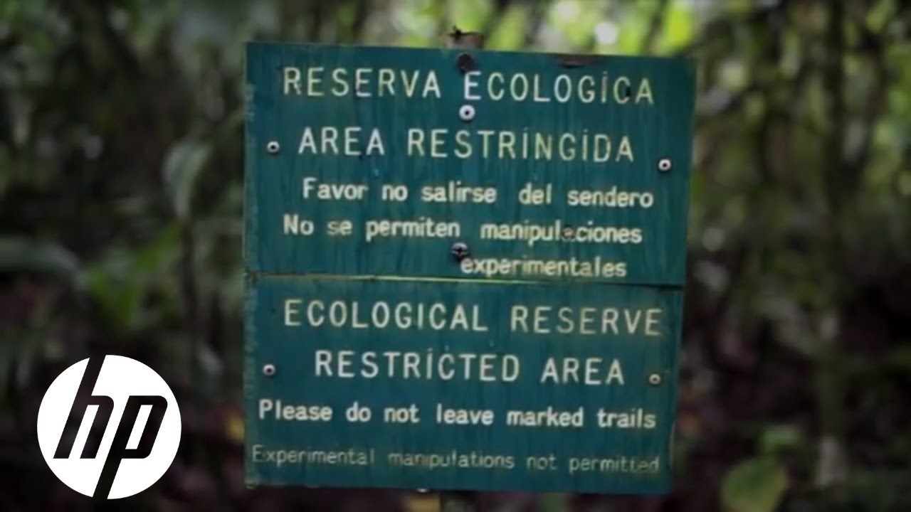 Earth Insights | HP