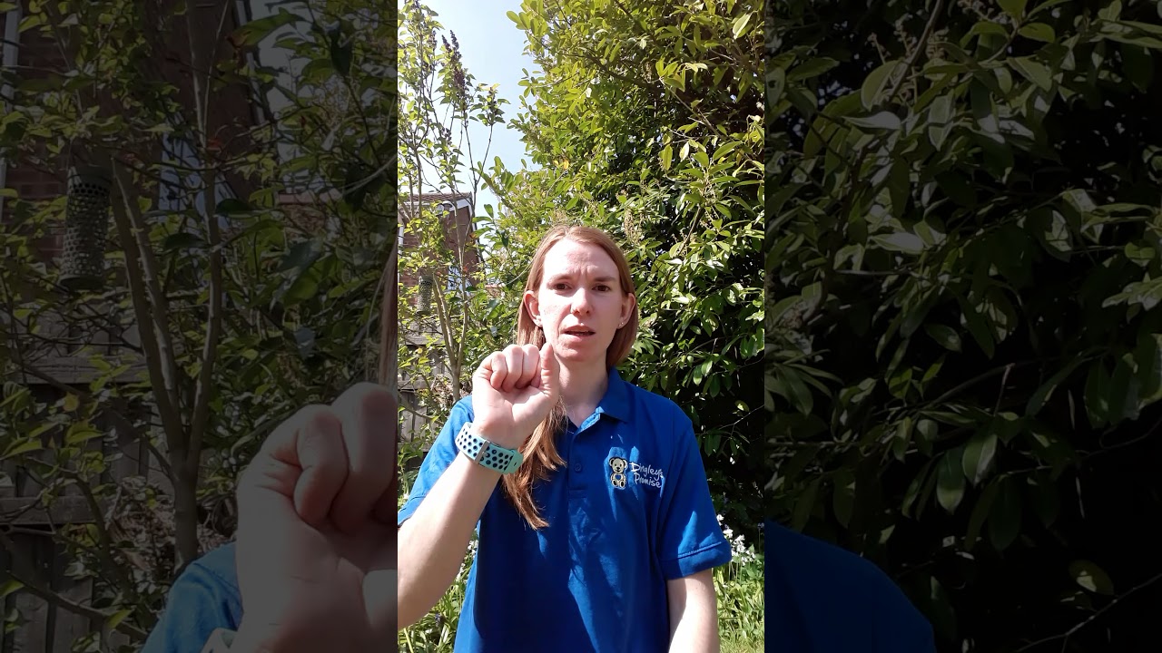 Core Makaton Signs