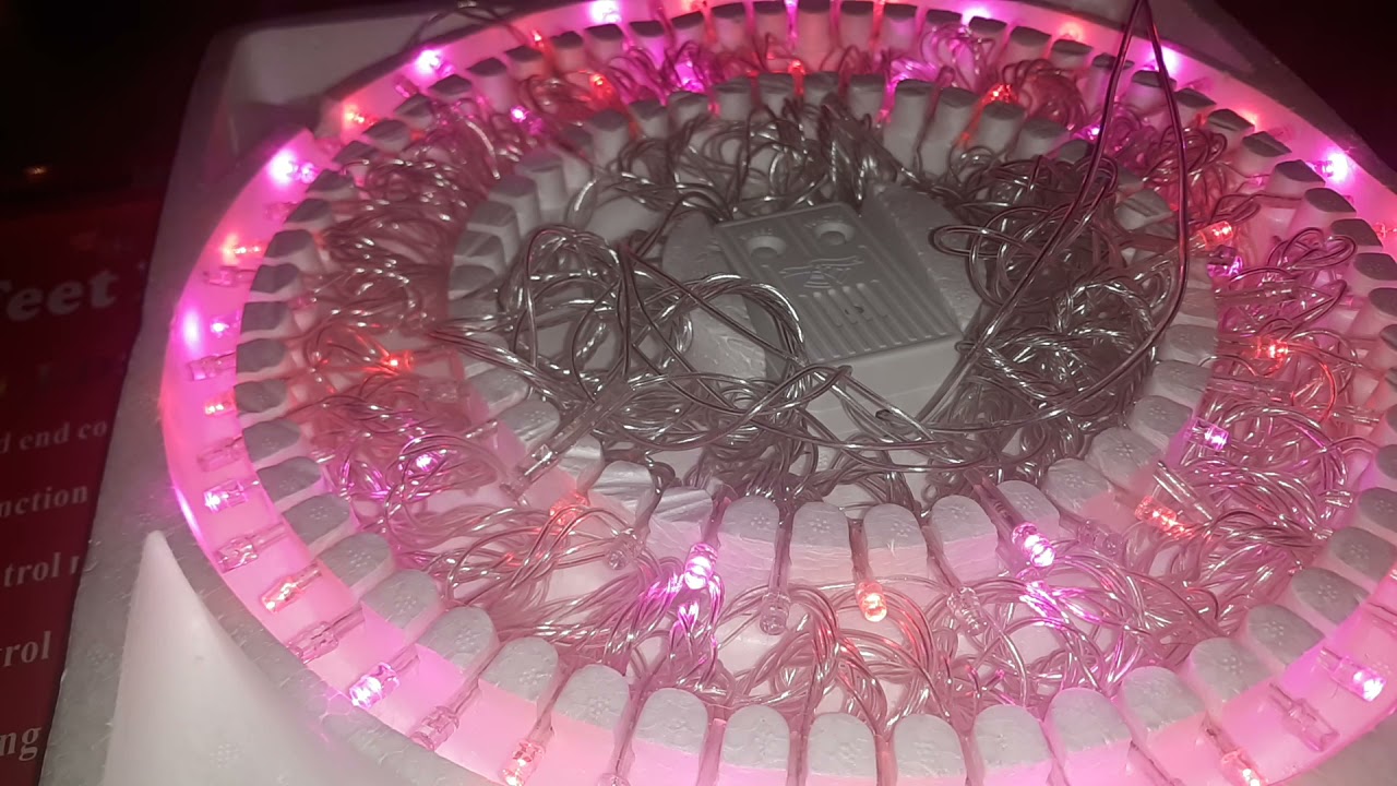 LED Musical Christmas lights