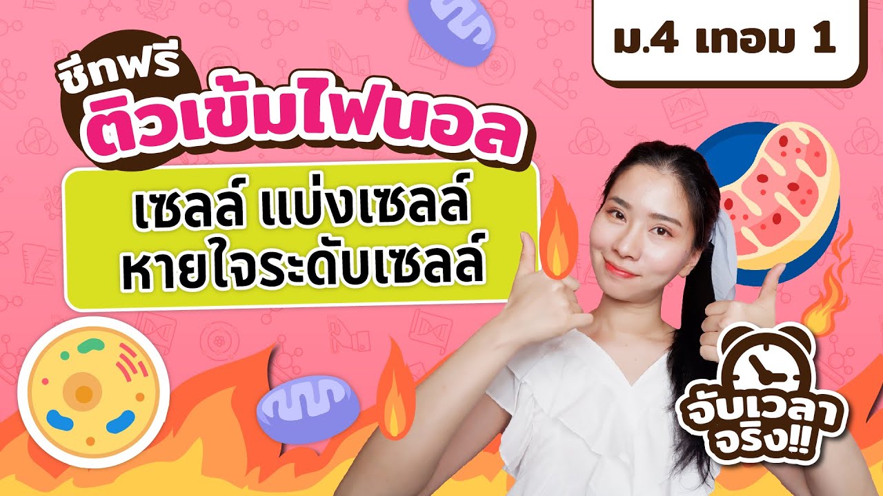 ติวสรุปเซลล์ การลำเลียงสาร การหายใจระดับเซลล์ การแบ่งเซลล์ ชีวะม.4