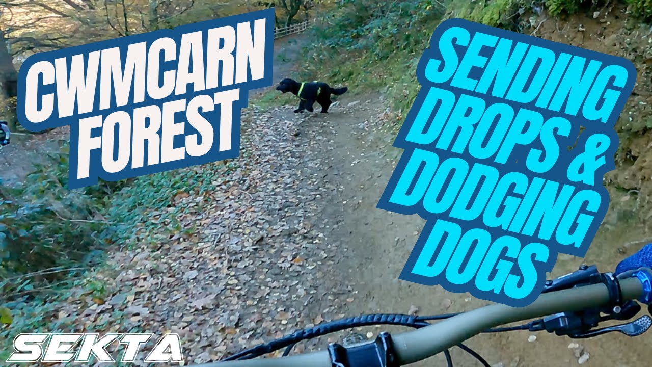 CWMCARN Y MYNYDD MTB💥 Evil Dead Ted & Red Mist (Red tech trails)