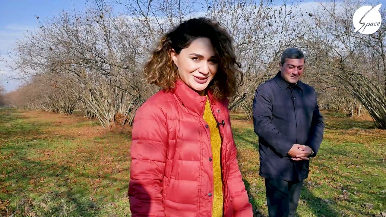 Şəhərdən Kəndə QAX