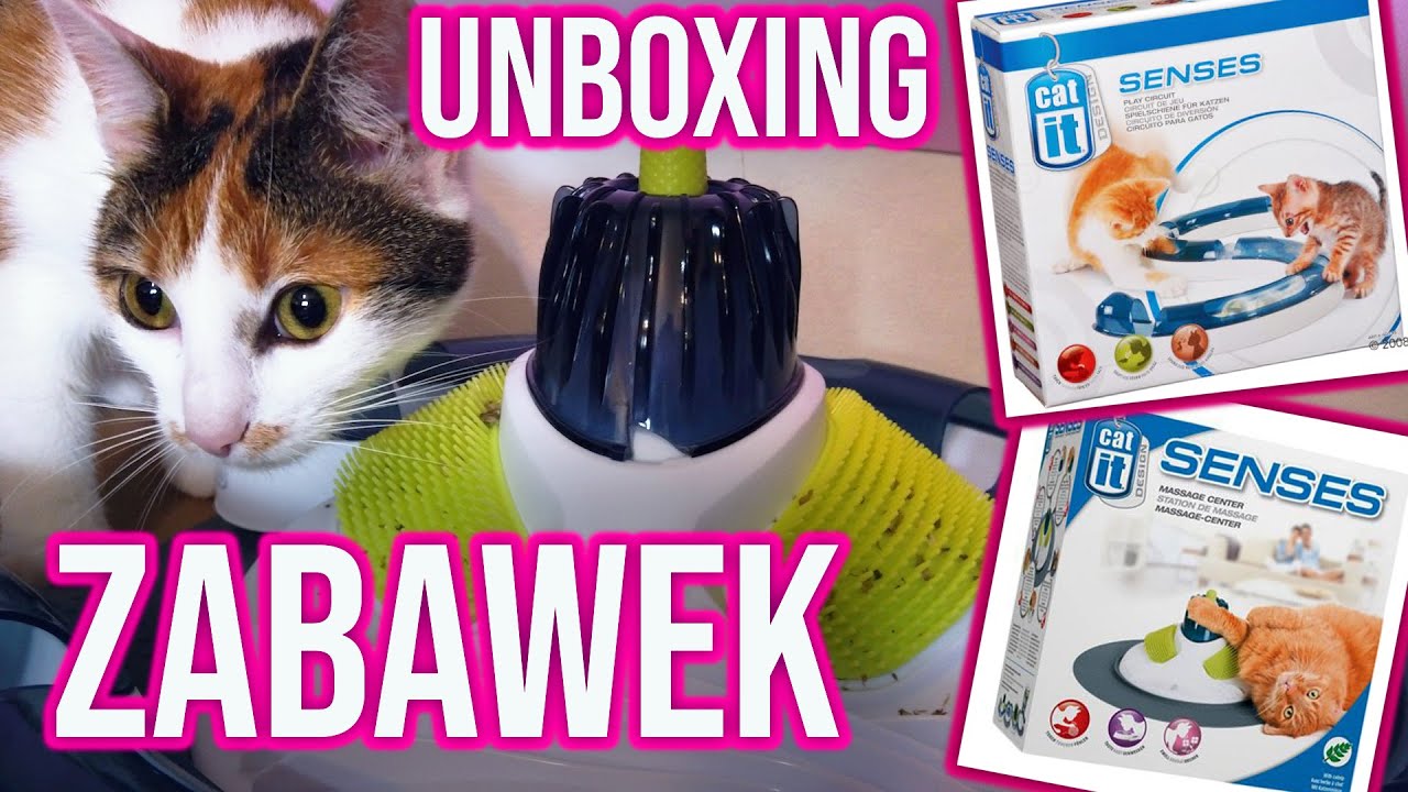 Masażer & tor do zabawy dla KOTA 🐾 CATIT DESIGN SENSES | Unboxing