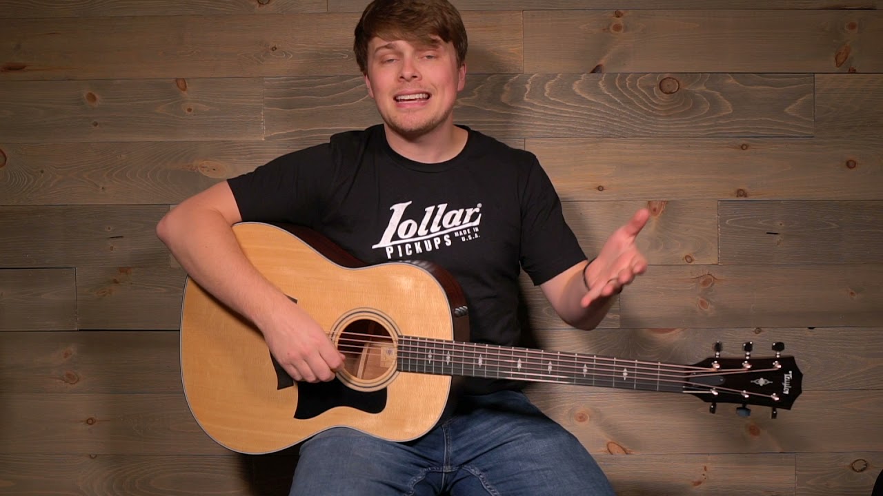 Taylor 317e