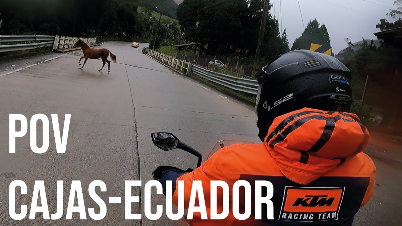 POV KTM Adventure 390. Me encuentro con un Caballo en la Vía