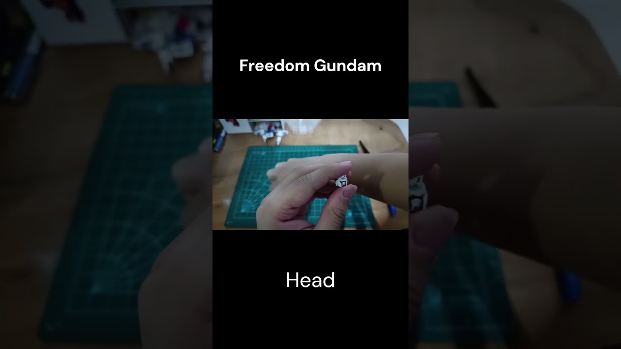 HGCE Freedom Gundam Head  