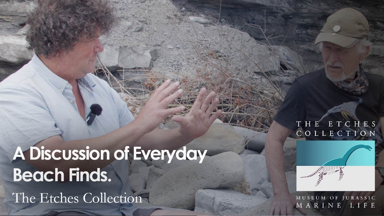 A Discussion of Everyday Beach Finds.