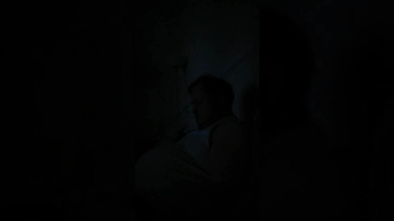 Live Stream