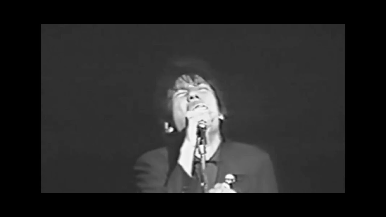 THE COATS/You Really Got Me[Live音源(cover)]