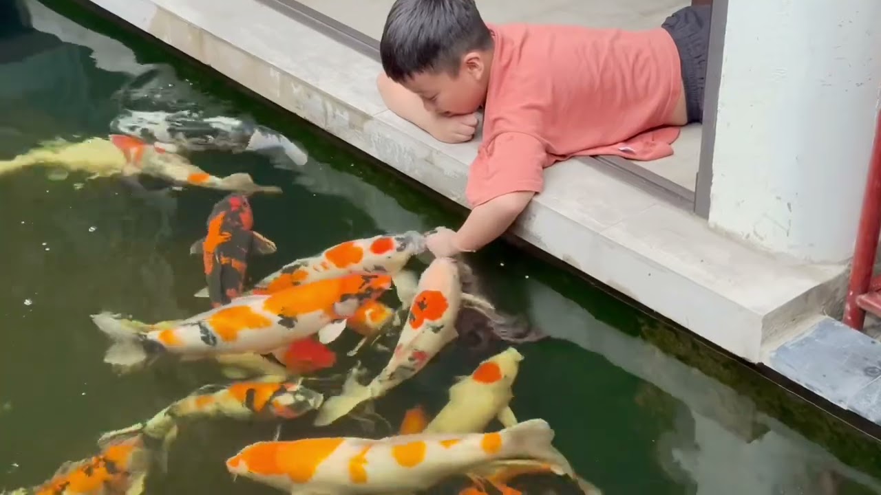 Sân vườn hồ cá koi đẹp Nhà Bắp Ngô