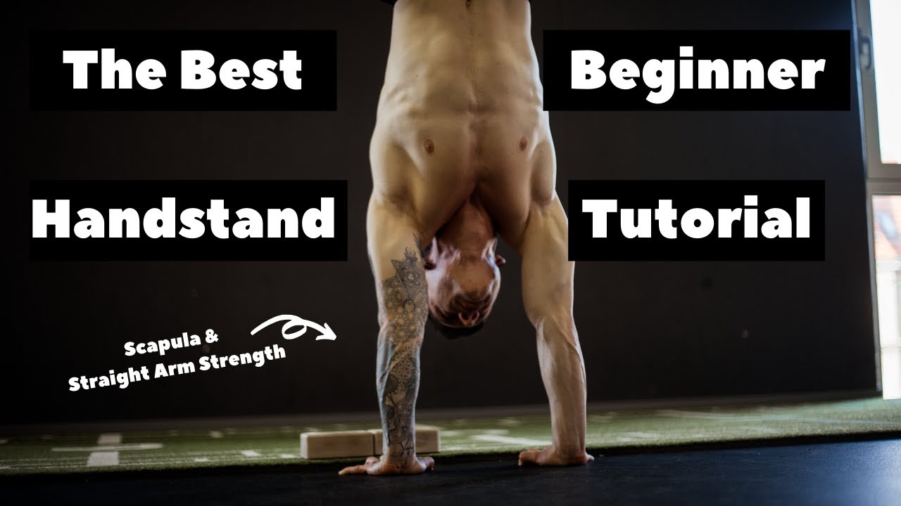 The Best Handstand Beginner Tutorial | Scapula & Straight Arm Strength