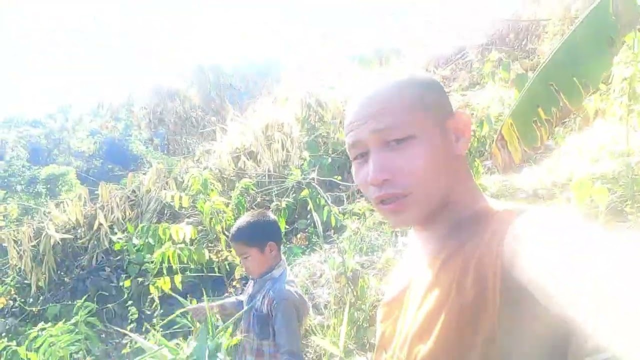 This Charandara garden belongs to me, Hiyong Thaga Pugraj Chakma. Number: 7368998432