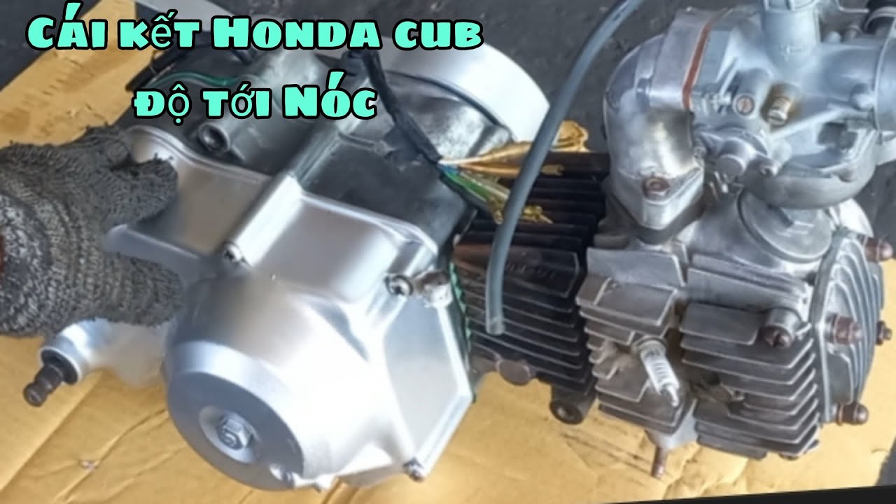 Về full zin honda cub độ tới nóc Đi cà phê nhẹ êm hơn/ Honda cub