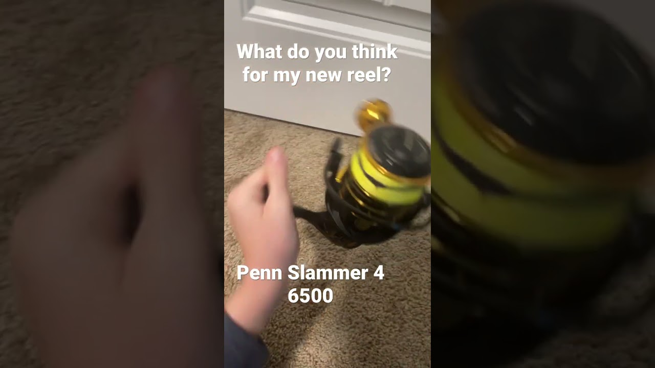 What do you think of my new reel? Penn Slammer IV