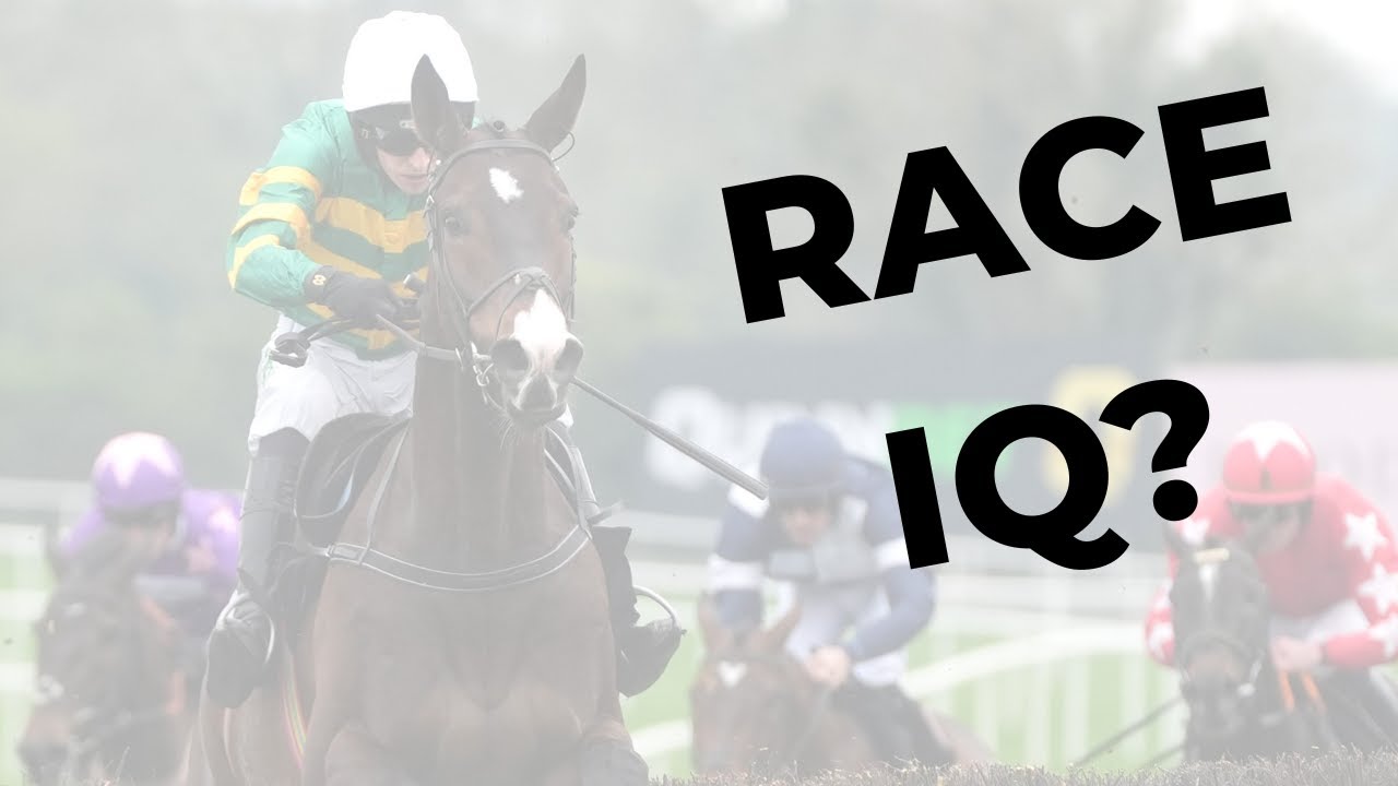 &laquo;Показатель IQ на скачках &mdash; полная ерунда&raquo; | Анализ скачек