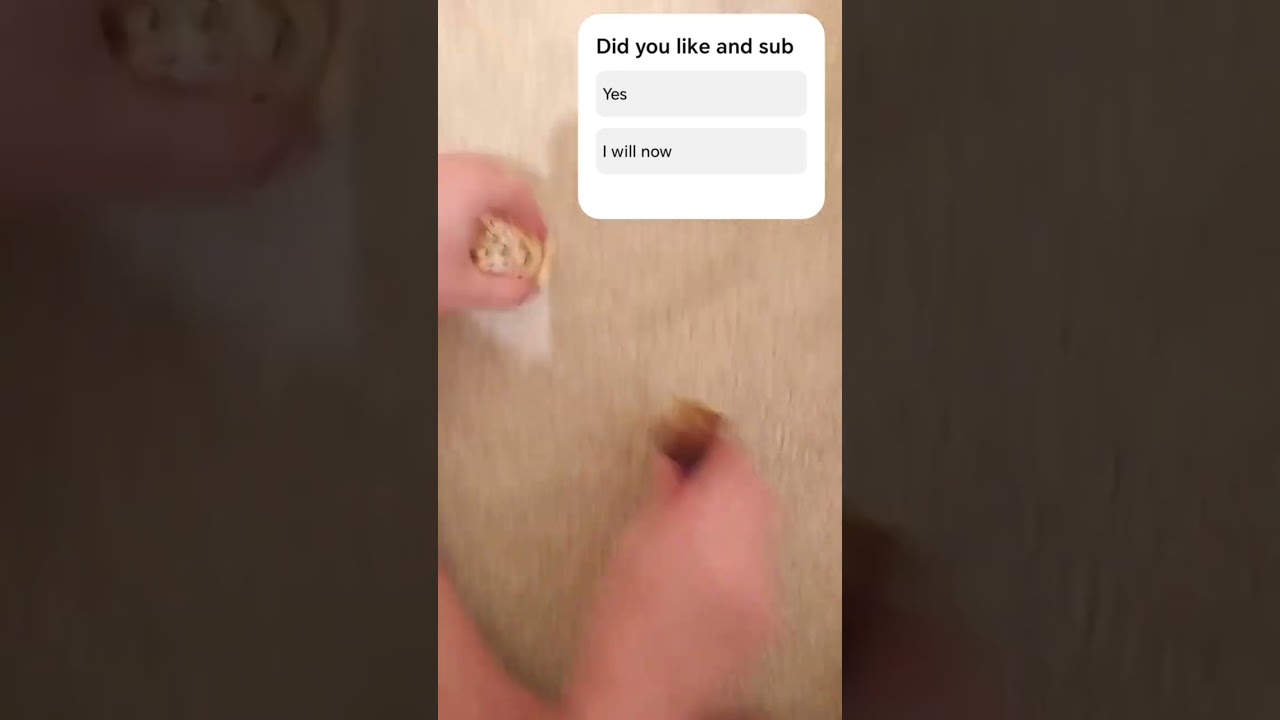 Bluey toy play 
