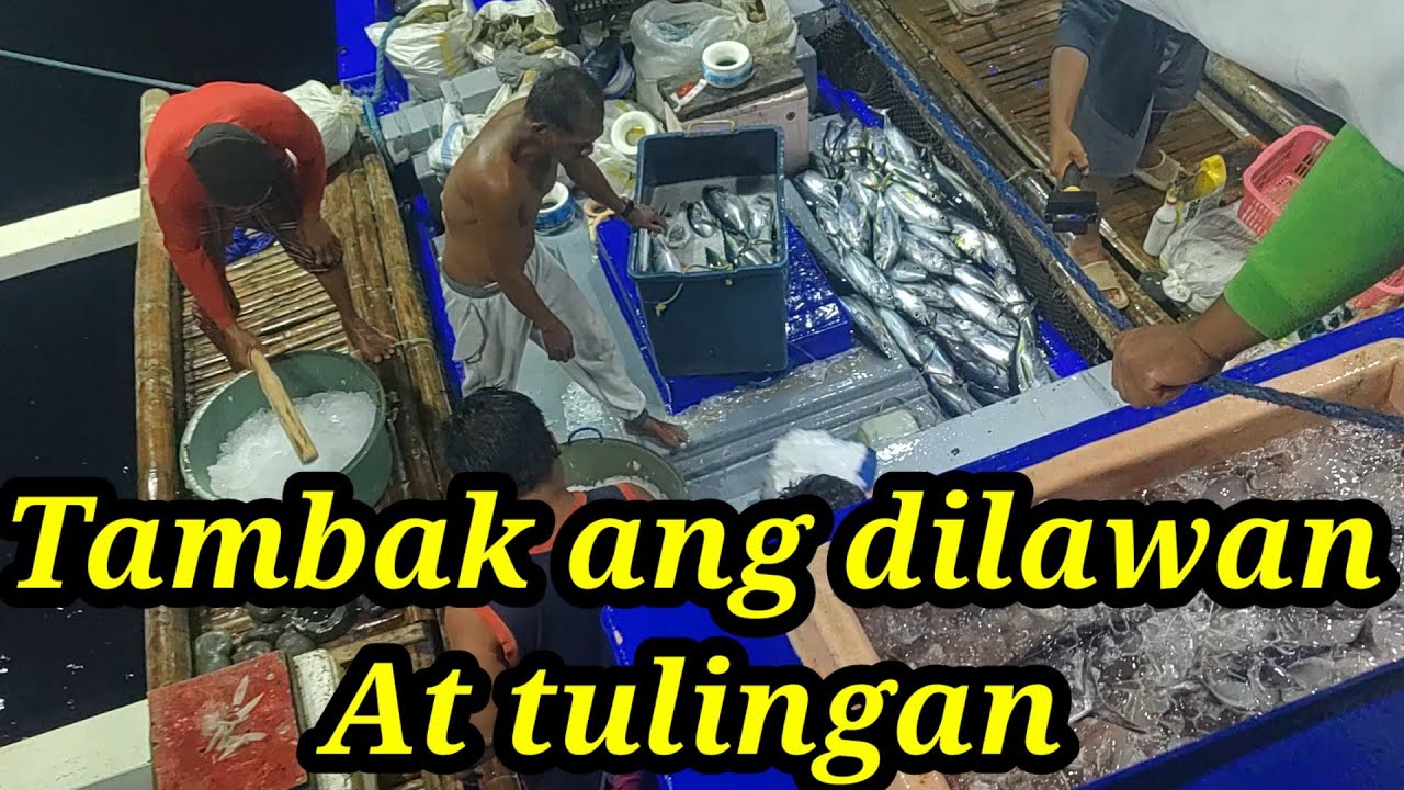 L2 K10-Tambak na ang tulingan at dilawan @ROMZELTV @HARABAS