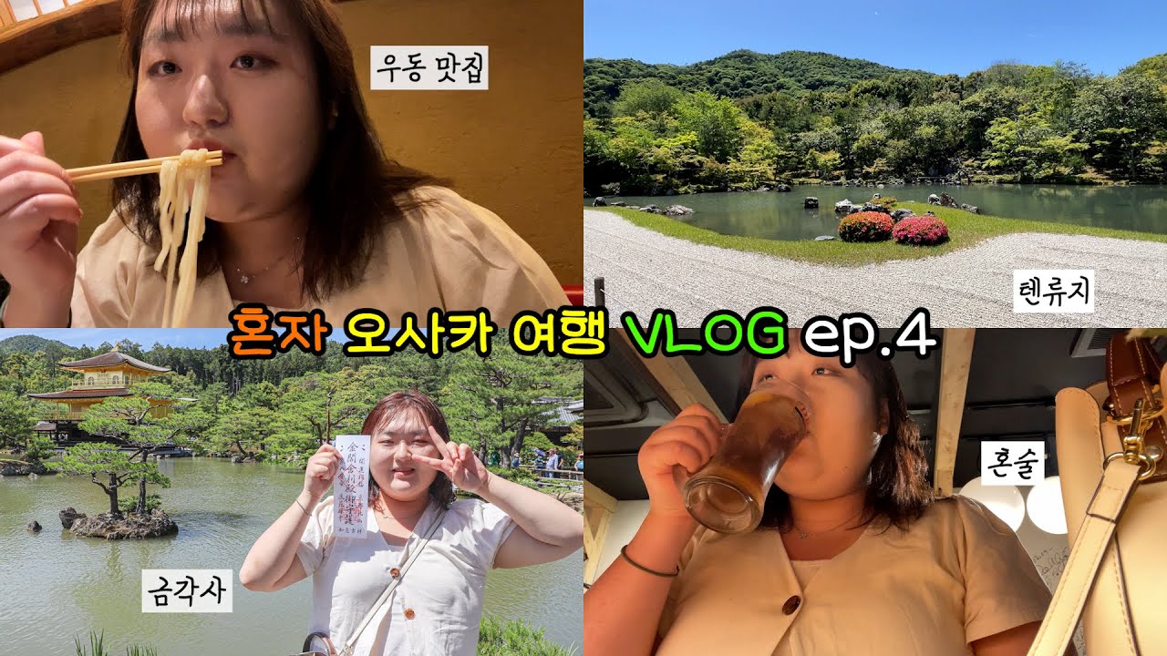 혼자 일본 여행 VLOG 4탄 | 혼술하다가 친구 사귀기 실패한 인프피 ㅠ | 교토 버스 투어 | 먹방 브이로그(?) | 길치의 오사카 혼여행 브이로그