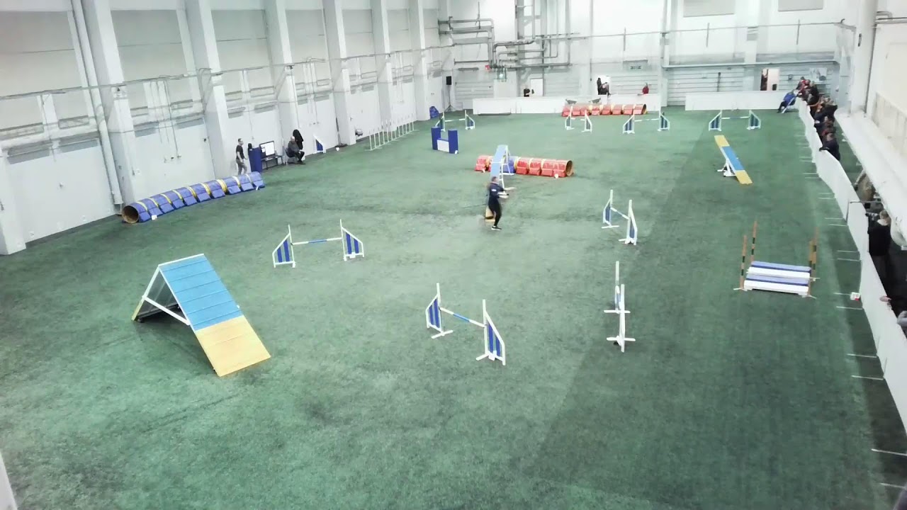 Active Dogs ry:n viralliset agilitykisat 13.-14.12.2025 / 3-luokka (SL-L)