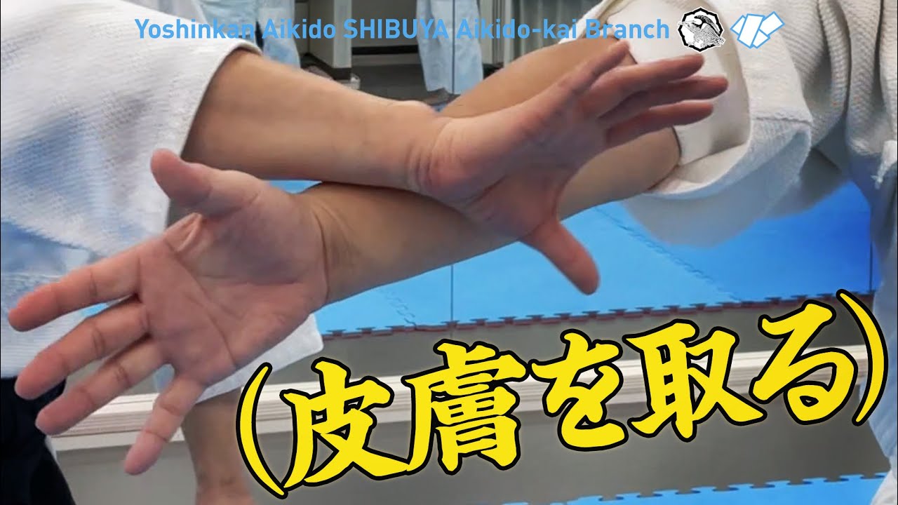 ［皮膚を取る］養神館合気道 渋谷合気道会の稽古