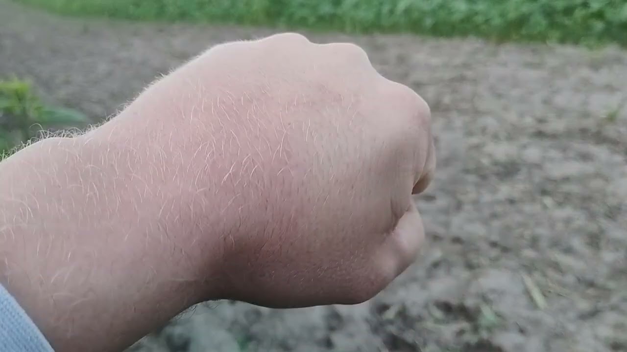 Próchnica glebowa