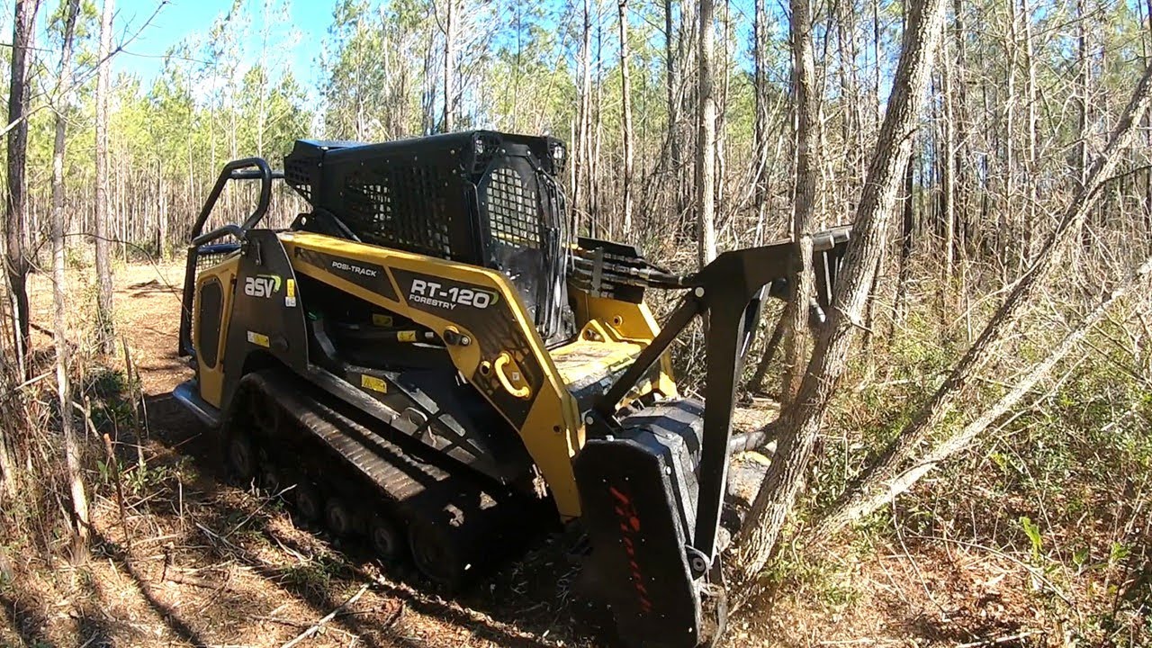 GRETA THUNBERG IS GOING TO HATE ME FOR THIS! Owner ECSTATIC With Forest TRANSFORMATION!