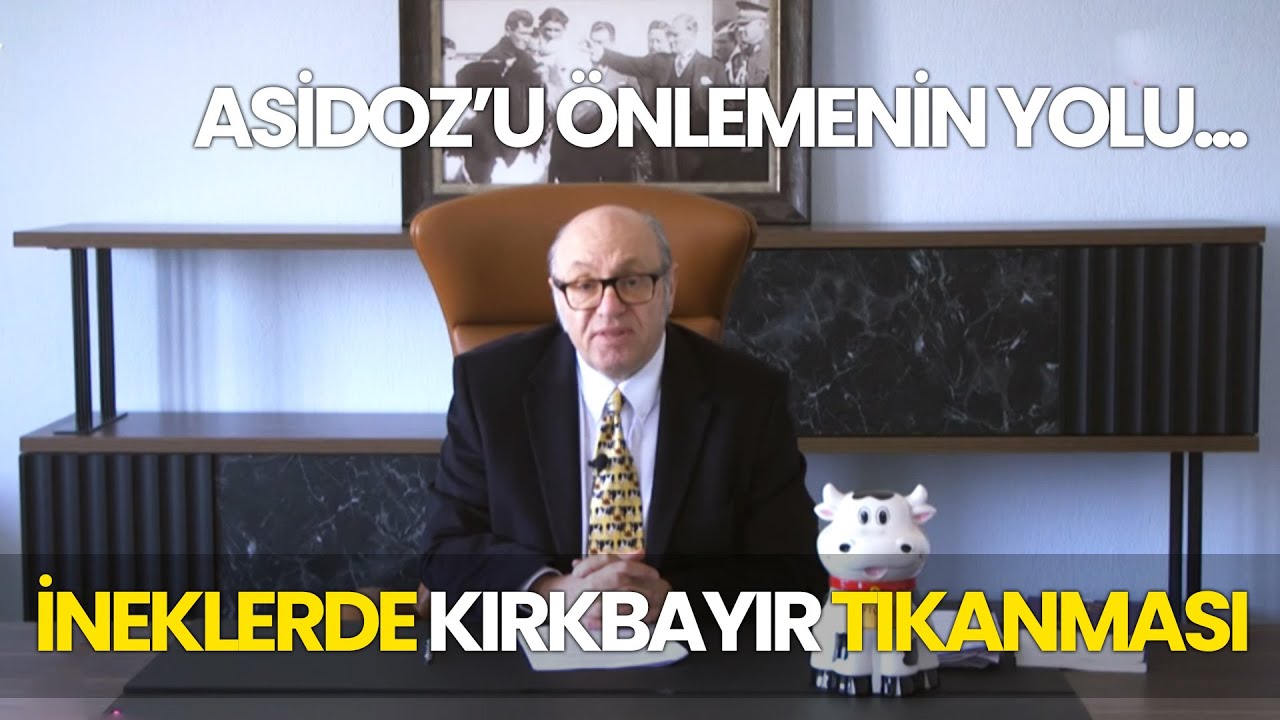 İneklerde Kırkbayır Tıkanması / Asidoz’u Önlemenin Yolu...