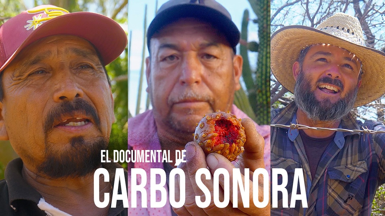 Así se VIVE en CARBÓ, SONORA: DONDE FLORECE el DESIERTO | Pueblo de PITAHAYEROS y VAQUEROS