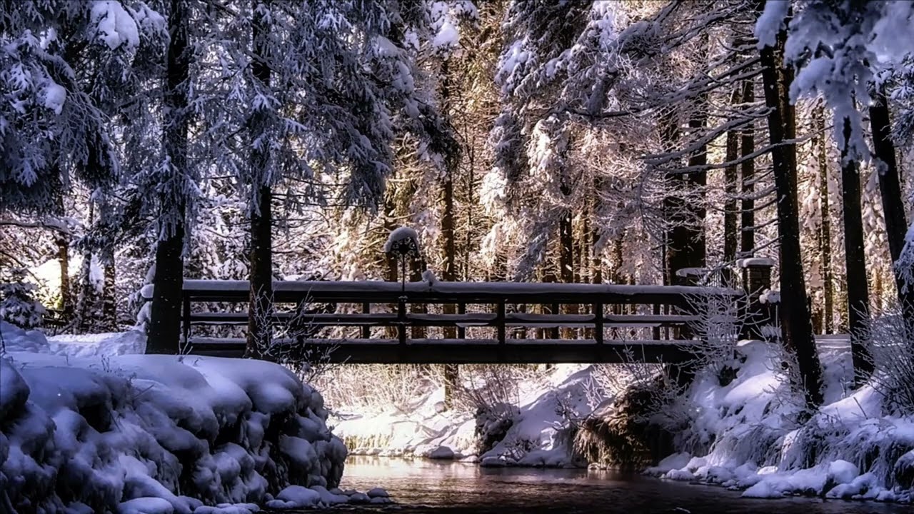 Peaceful sounds of rain and a relaxing landscape of snow covered trees and a bridge in the forest
