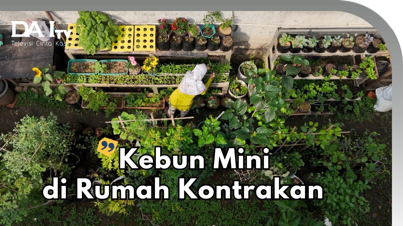 Kebun Mini di Rumah Kontrakan Cuma Pakai Rak Susun & Barang Bekas