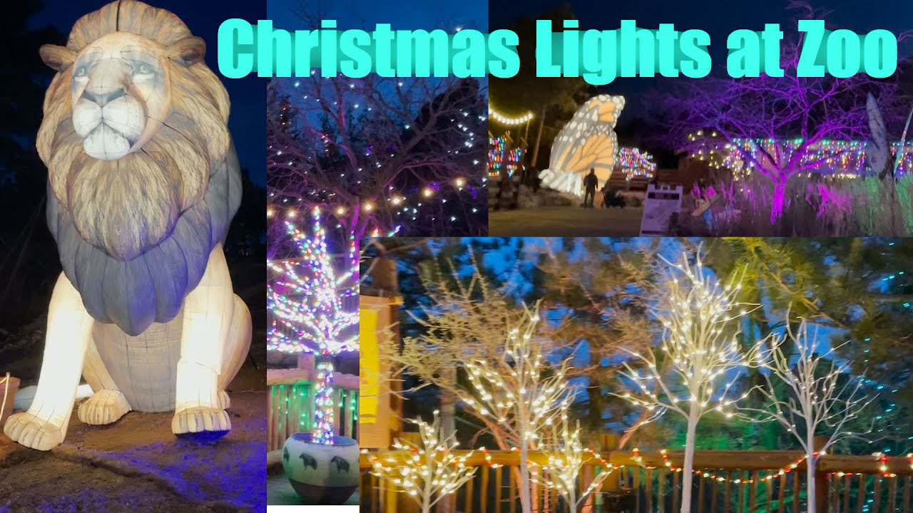 🎄🎅Christmas lighting at Zoo|Cheyenne Mountain Zoo | Colorado Springs 