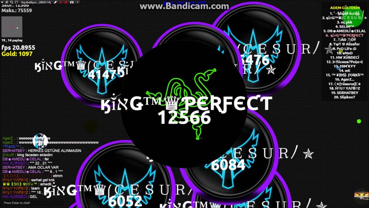 King Klanı Kısa Bir Diken Kasma