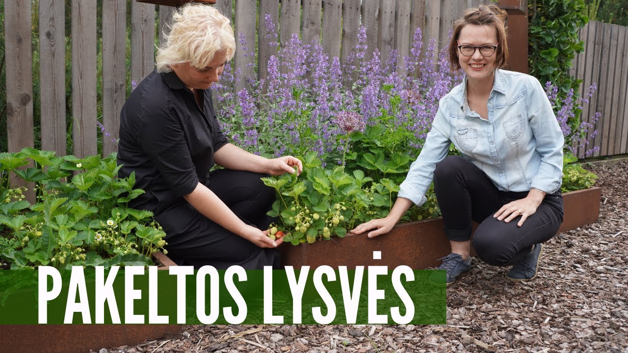 Kaip įsirengti pakeltas lysves: instrukcija pradedantiesiems