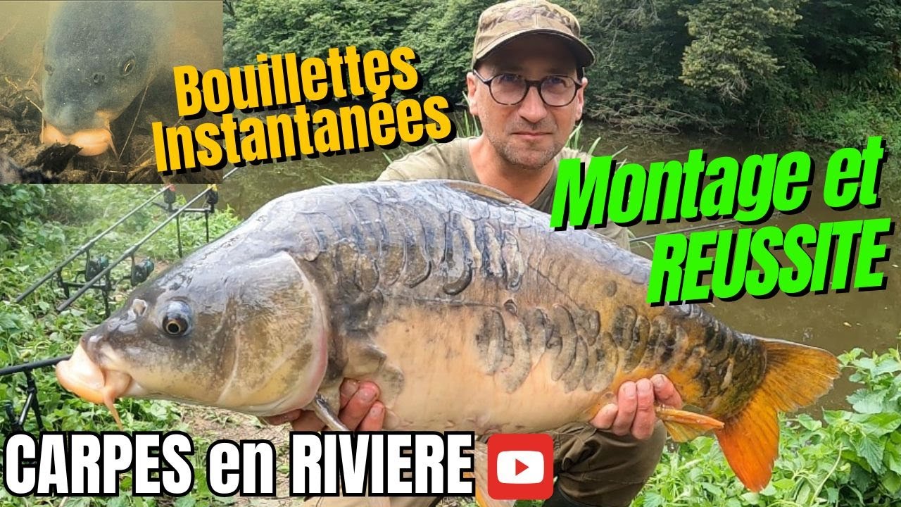 PECHE de la CARPE en RIVIERE | Vol 2