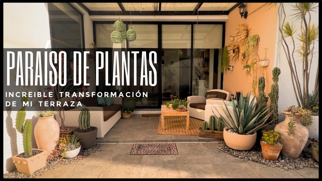¡Revolución verde! Transformé mi terraza en un paraíso botánico