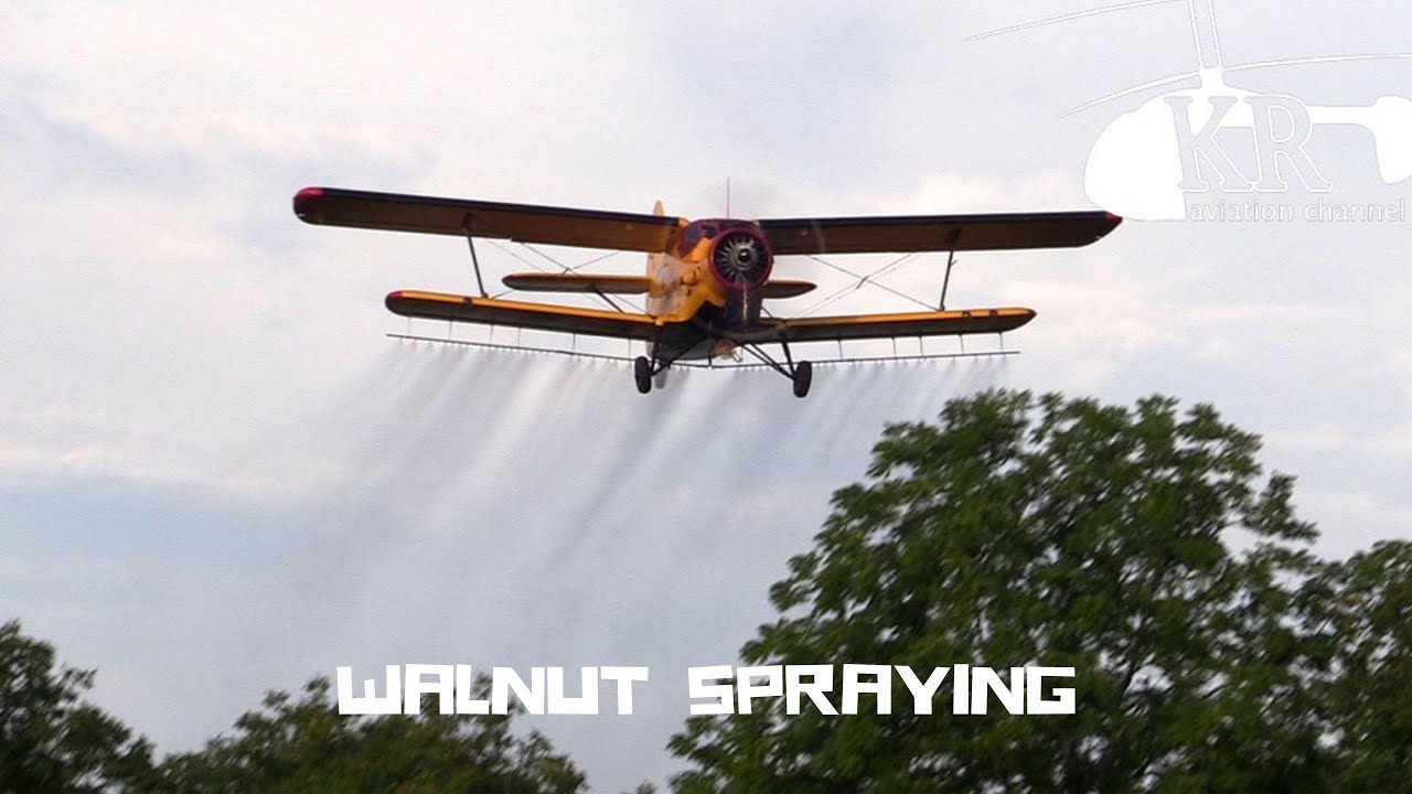 Walnut spraying with An-2
