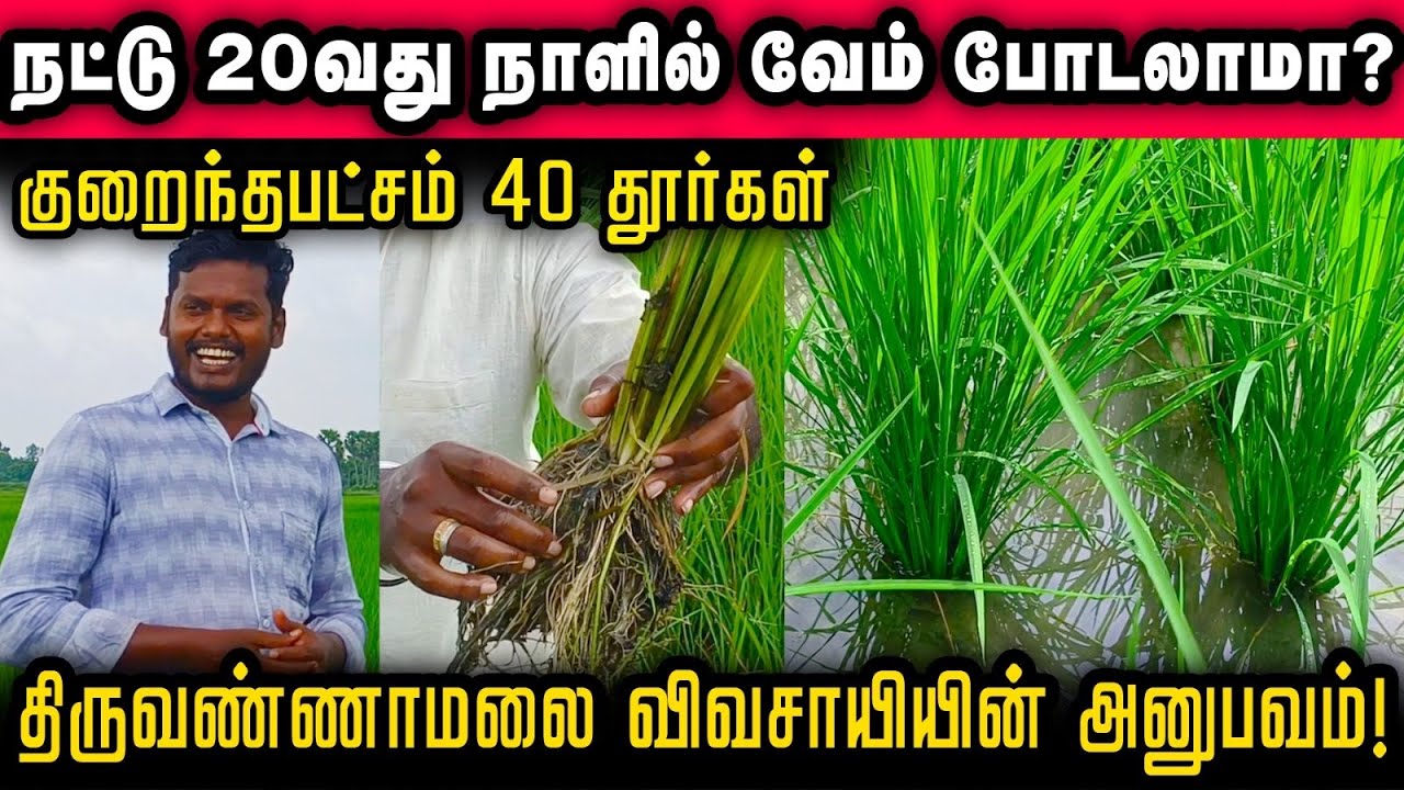 வேம் - களைக்குற மருந்து எது போடலாம் ? வந்தவாசி விவசாயியின் அனுபவம் #rootsmatepro #vamfungi #potash