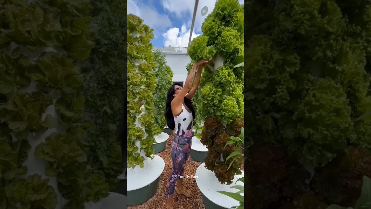 hydroponic farming technology 😱 #shorts