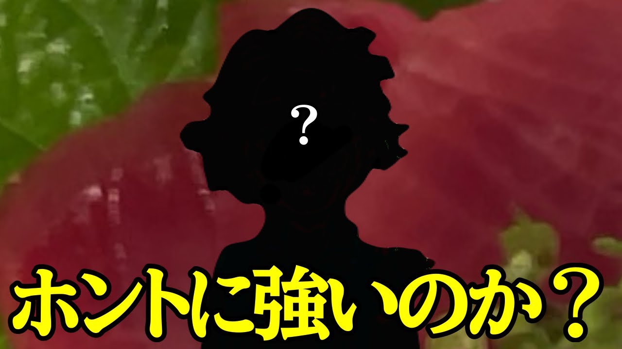 最近、こいつの評価が上がっているらしい...？