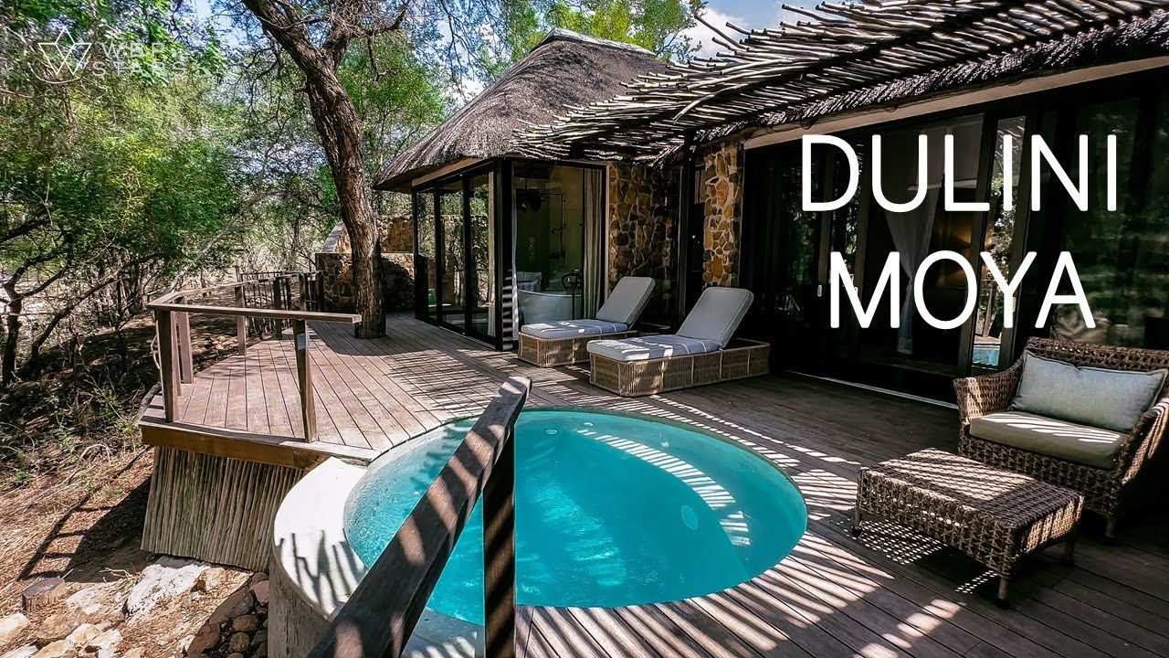 Dulini Moya: Ultra-Luxury SAFARI LODGE Near Kruger Park | AMAZING Game Drive Footage!
