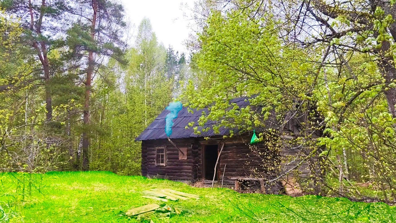 We live in a REMOTE FOREST and restore an ABANDONED HOUSE with ALEX WILD