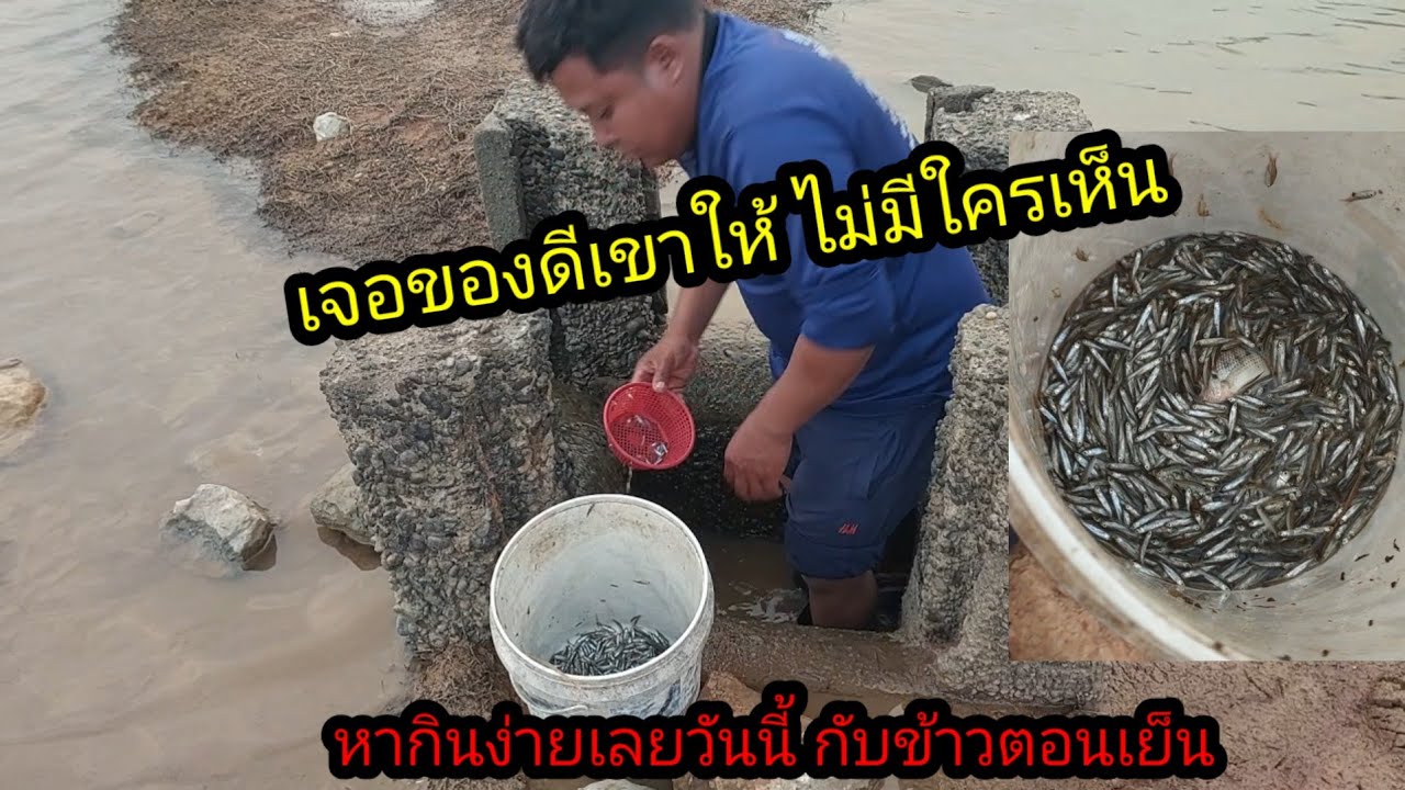 ไปต่อดักกุ้งแต่เจอของดี รีบเอาอุปกรณ์กลับมาเก็บเอาด่วน#จิตอาสา 