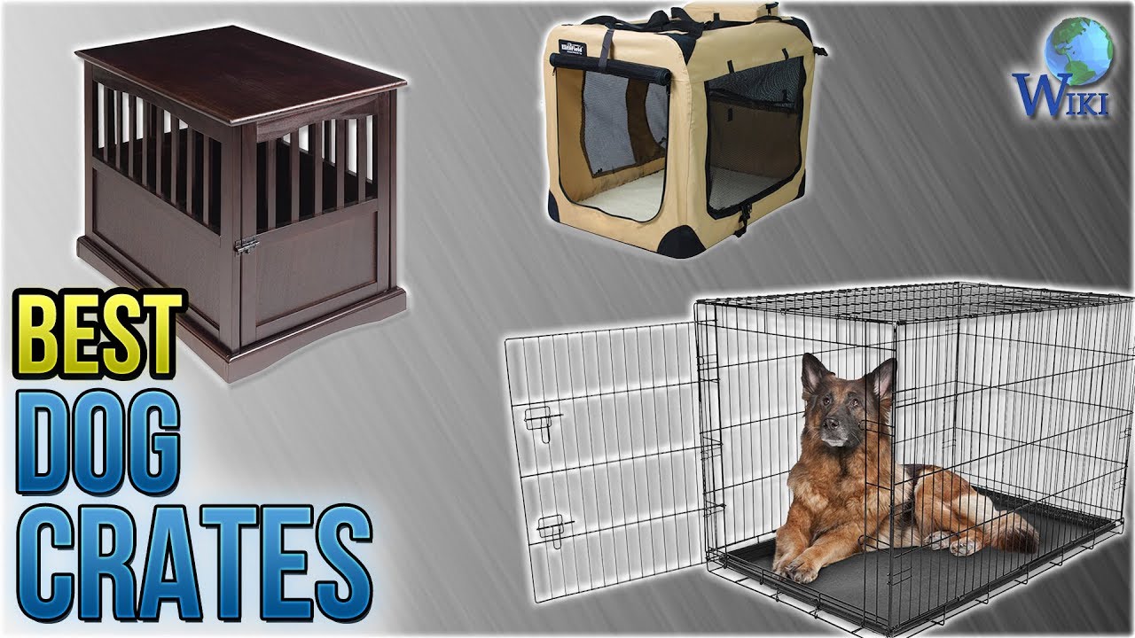 10 Best Dog Crates 2018